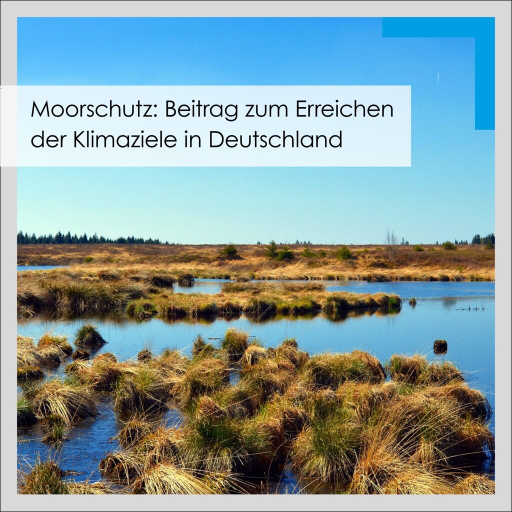 MuP Moorschutz Klimaschutz scaled 1